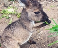 Melbourne-Zoos_Victoria-Linda_instagram17-3.jpg